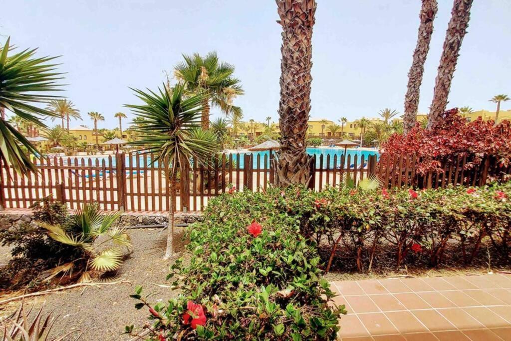 Apartament Tamarindo 28, Pool Front,Free Wifi Corralejo Zewnętrze zdjęcie