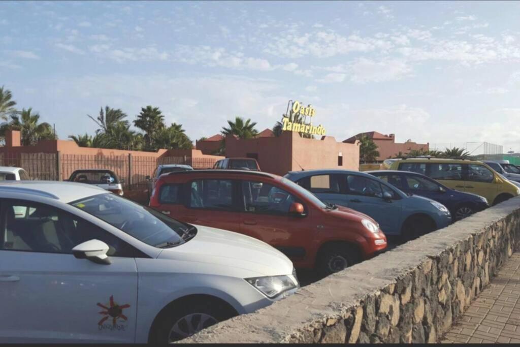 Apartament Tamarindo 28, Pool Front,Free Wifi Corralejo Zewnętrze zdjęcie