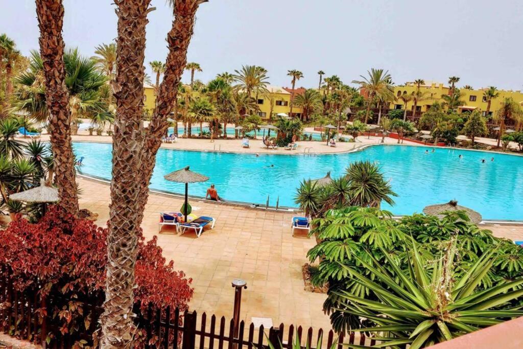 Apartament Tamarindo 28, Pool Front,Free Wifi Corralejo Zewnętrze zdjęcie