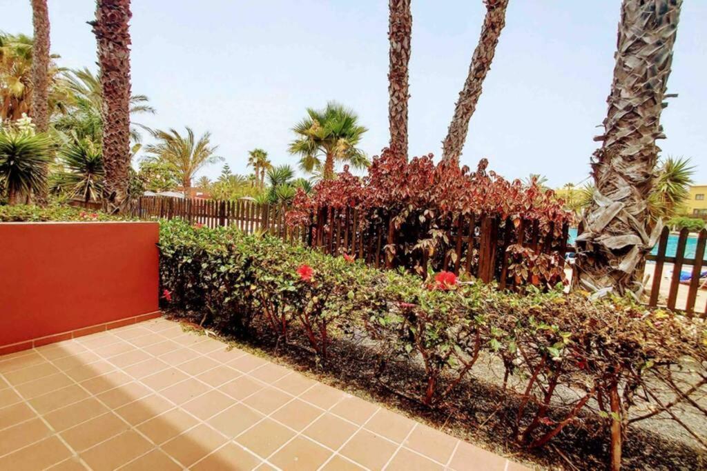 Apartament Tamarindo 28, Pool Front,Free Wifi Corralejo Zewnętrze zdjęcie