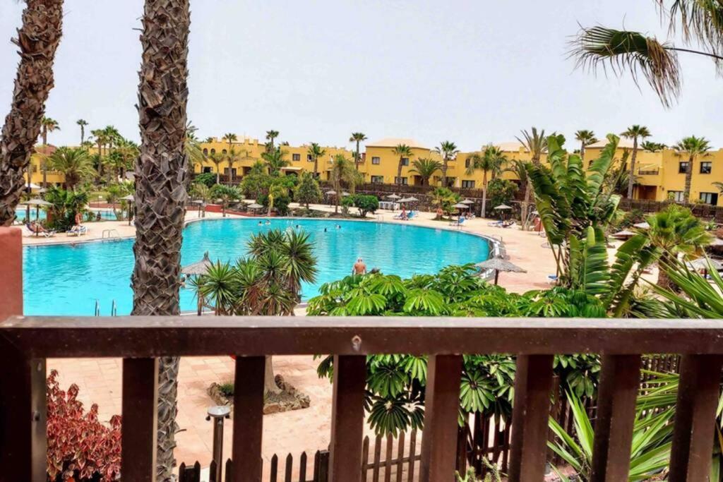 Apartament Tamarindo 28, Pool Front,Free Wifi Corralejo Zewnętrze zdjęcie
